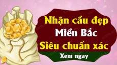 Phân tích dự đoán Xổ Số Miền Bắc ngày 14/11/2025 - Dự đoán XSMB 14-11-2025